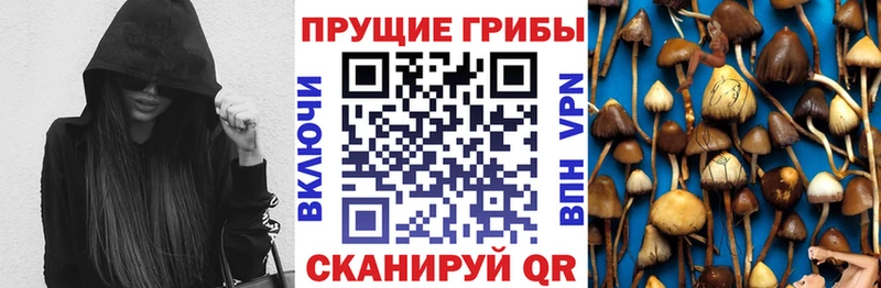 МЕГА   Советская Гавань  Галлюциногенные грибы прущие грибы 