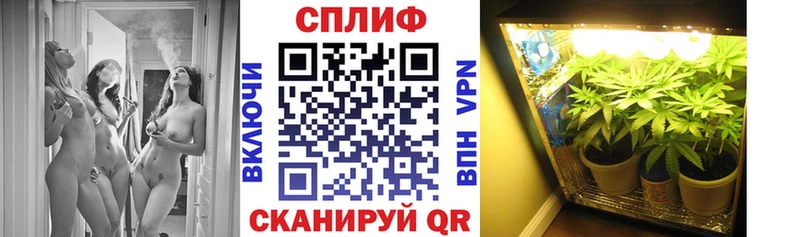 Марихуана семена  где можно купить наркотик  Советская Гавань 